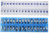 AM PM 31 Day Monthly Pill Planner Organizers - Large Compartment Pill Boxes for Entire Month (AM/PM Clear & Blue)