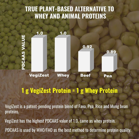 UpNourish Chocolate Vegan Protein Powder - Meal Replacement Shake, Gluten Free, Packed with Essential Vitamins