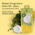 Enviroscent Non Toxic Air Freshener Plug-in, Lemon Leaf & Thyme, 1 Refillable Plug In & 1 Scent Refill, Lasts 45+ Days