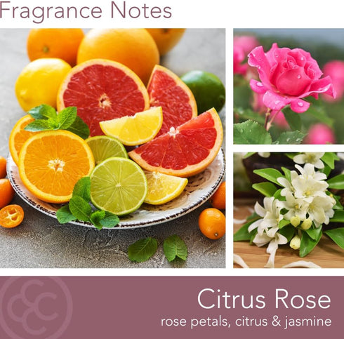 Citrus Rose Scented Jar Candle, Relaxing Aromatherapy Candle, 2 Wick White Jar, 60hr Burn