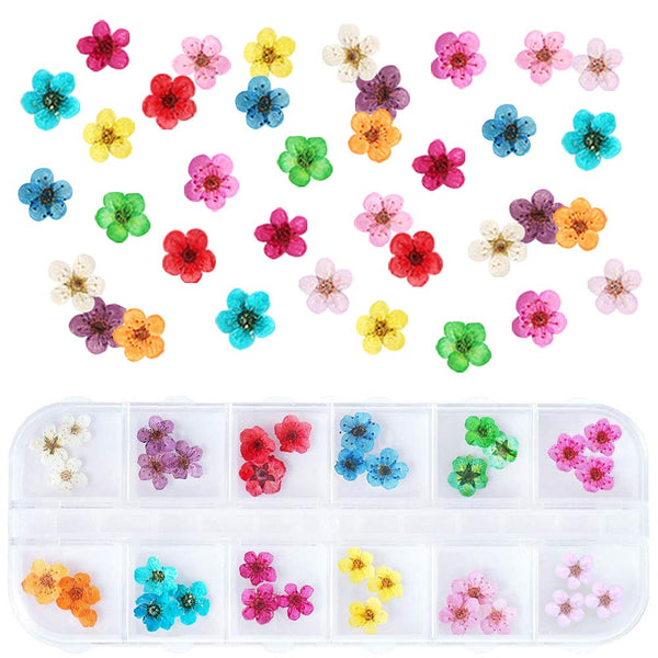 UNIME 12 Colors Dry Flowers Mini Real Natural Flowers Nail Art Supplies 3D Applique Decoration Sticker for Tips Manicure