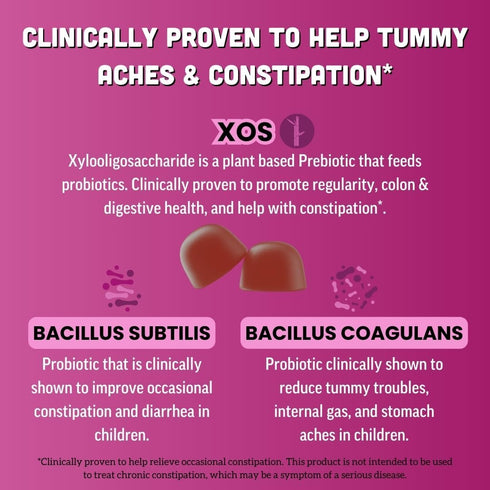 Gummies Gummy 60 Llama Naturals Kids Probiotic with Prebiotic Fiber, Vegan, Organic Prebiotics and Probiotics for Gut