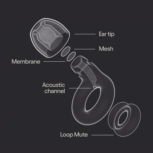 Loop Experience 2 Plus Ear Plugs, Stylish Certified Hearing Protection for Concerts, Festivals, Sports, 17dB Noise