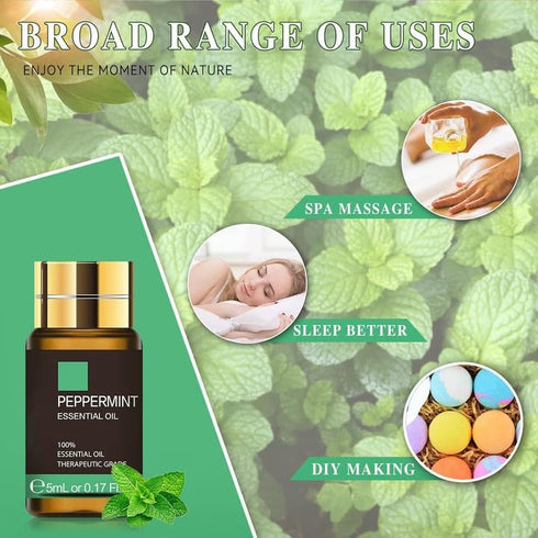 Set, 35PCS 5ML Essential Oil Premium Essential Oils Kit, Essential Oils Fragrance Oil Scent for DIY Candle and Soap