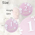 Troxueo 3D 1-12 Acrylic Daisy Baby Milestone Cards, Baby Milestone Signs, Months Interchangeable Monthly Milestone