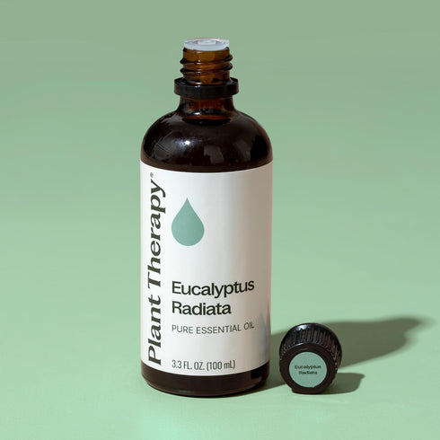 Plant Therapy Eucalyptus Radiata Essential Oil, 100 mL (3.3 oz), 100% Pure, Undiluted