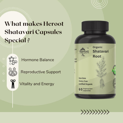Heroot 500mg 60 Organic Shatavari Root (Asparagus racemosus) Menstrual Cramp Relief, Menopause Support, and Women's