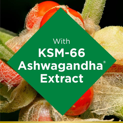 Nature's Bounty Ashwagandha Gummies, 300mg KSM-66 Ashwagandha Extract, 60 Gummies, Mixed Berry