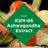 Nature's Bounty Ashwagandha Gummies, 300mg KSM-66 Ashwagandha Extract, 60 Gummies, Mixed Berry