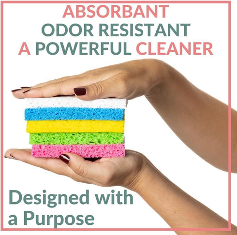 bioGo 30 Pack Compostable Pop-Up Sponges - Non-Scratch, Plant-Based Dish Sponges