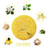 VERT Shampoo Bar, 2 Pieces - 100% Natural Solid Shampoo Soap for Treated Dry Damaged Hair, Rose & Jasmine, 4.2oz