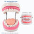 Tooth Brushing Model, 6 Time Tongue Teeth Model for Speech Therapy and Kids Dental Care Teaching Demonstration