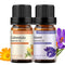 GREENSLEEVES 2 Pack Essential Oil Set - 100% Pure Oils for Diffuser, Humidifier, Massage (Violet + Calendula)