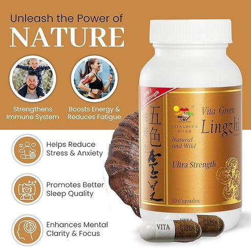 Immune 10 Vita Green Lingzhi Mushroom Supplement () Pure Reishi with Natural Antioxidants for Wellness, Energy