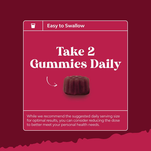 Elderberry Vitamin C and Zinc Gummies - Advanced Immune Booster for Adults, Vegan Halal (90ct)