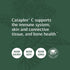 Standard Process Cataplex C - Immune Support Supplement with Vitamin C, Magnesium Citrate, Calcium, 90 Tablets