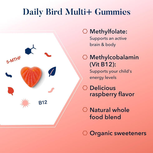 Best Nest Wellness Multivitamin Gummies, Methylfolate, Methylcobalamin, Whole Food Multi Vitamins, 60 Ct, Raspberry