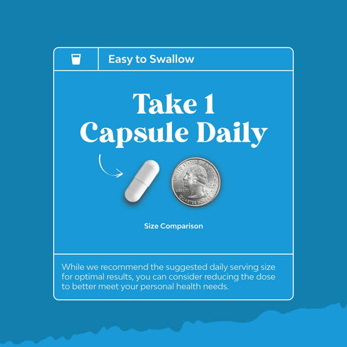 NAC Supplement N-Acetyl Cysteine 600mg - 180 Capsules, Vegan High Absorption for Liver Detox, Lung Health & Immunity