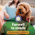 OdorFx Pet Odor Remover, 32 Fl Oz, Rug, Upholstery and Carpet Cleaner Solution, Fragrance Free Air Freshener
