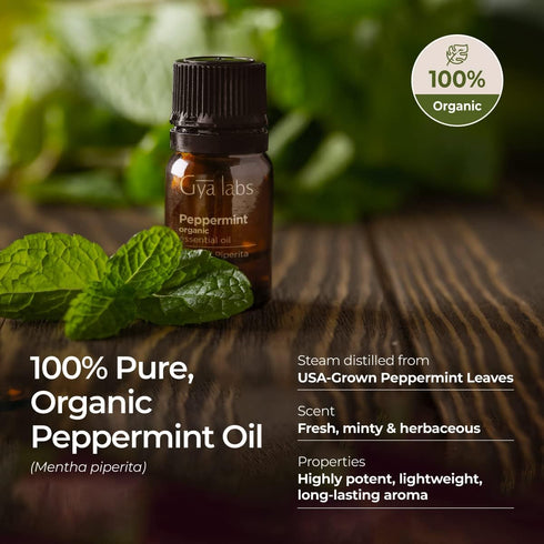 Gya Labs Organic Peppermint Oil 0.34 fl oz - Premium Grade Natural for Diffuser & Skin