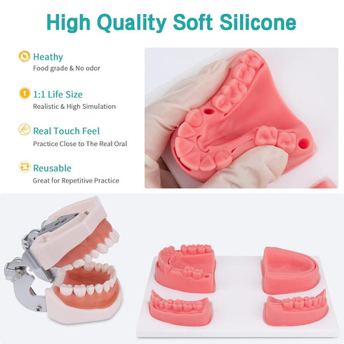Dental Oral Practice Kit - 25 Pcs Set with 4 Soft Silicone Oral Pads for Dentist Practice & Assistant Student Training