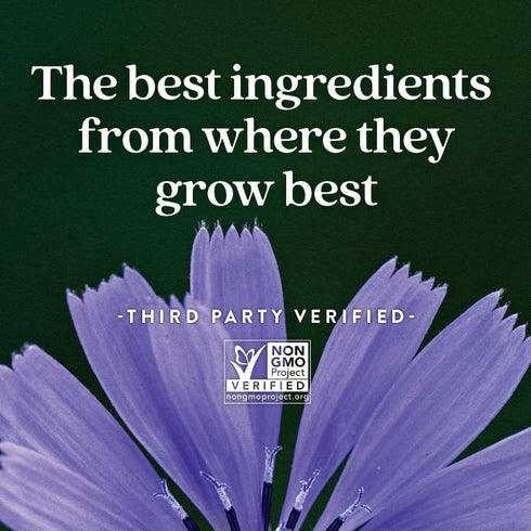 New Chapter Probiotic Gummies for Women and Men - 1 Month Supply - Vegan, Non-GMO, Holistic Gut Health