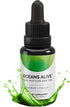 Chlorophyll Algae Supplement by Activation Products - Marine Phytoplankton, 1 Month Supply, 30 ml
