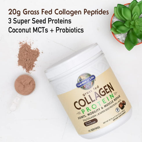 Garden of Life Grass Fed Collagen Protein Powder, Chocolate, 14 Servings for Joints & Muscle Repair