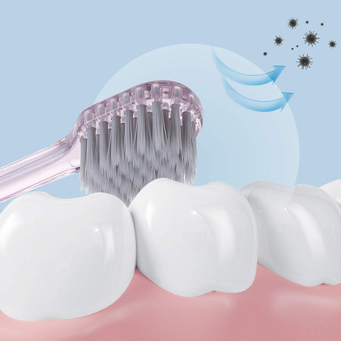 Firm Bristles Toothbrush, 6pcs Crystal Handle Oral Health Care Adult Toothbrush