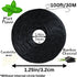 Dental Floss Refill Rolls, Charcoal Woven Thread, 8 Pack, Mint