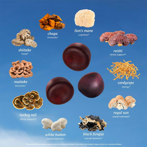 All-in-One Mushroom Gummy Supplements with 10 Functional Mushrooms - 60ct Adaptogenic Blend for Cognitive & Immune