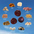 All-in-One Mushroom Gummy Supplements with 10 Functional Mushrooms - 60ct Adaptogenic Blend for Cognitive & Immune