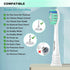 Replacement Toothbrush Heads for Philips Sonicare, Compatible with Electric Toothbrushes Handle, Snap-on System, Black,