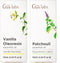Vanilla Essential Oil for Diffuser & Patchouli Oil for Diffuser Set -