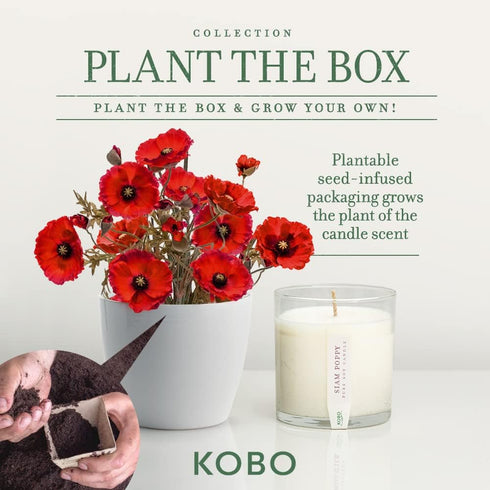KOBO Red Poppy Scented Candle, 9 oz, Plantable Box Collection, 100% Pure Soy Wax