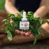 Scent Fill 100% Natural Peppermint Plug in Air Freshener - 4 Scented Oil Refills