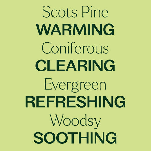Plant Therapy Scots Pine Essential Oil 30 mL (1 oz) 100% Pure, Undiluted