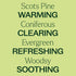 Plant Therapy Scots Pine Essential Oil 30 mL (1 oz) 100% Pure, Undiluted