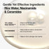 ANUA RICE 70 GLOW MILKY TONER - for Glass Skin & Brightening with Rice Water, Niacinamide, Ceramides 250ml/8.45fl.oz.