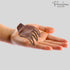 Parcelona French Paw Wide Side Slide Yoga Jaw Hair Clips, Strong Hold No Slip Grip, Brown Streaks