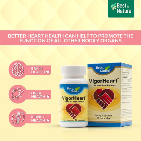 VigorHeart Natural Heart Supplements - Coq 10, Salvia Miltiorrhiza, Panax Pseudoginseng - 30 Capsules