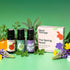 Reset Set Plant Therapy The Spring Essential Oil - Three Exclusive Spring-Focused Blends, Citrus Rise, Wildflower Calm