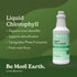 Immunity 16 Oz Nature's Sunshine Liquid Chlorophyll - Support, Detox & Cleanse, Chlorophyll Liquid Drops with Spearmint