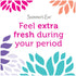 Summer's 24 Count Eve FreshCycle Cleansing Cloths | Reduces Period Odor |