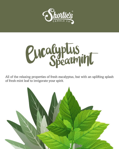 Shortie's Candle Company Eucalyptus Spearmint Wax Melts, 3 Oz. Bar, Highly Scented