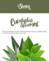 Shortie's Candle Company Eucalyptus Spearmint Wax Melts, 3 Oz. Bar, Highly Scented