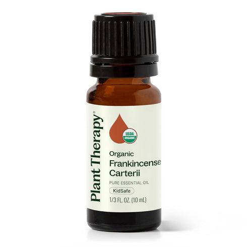 Plant Therapy Organic Frankincense Carterii Essential Oil, 100% Pure, 10 mL, USDA Certified Organic