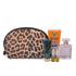 Makeup Bag Leopard 3 Pack, Portable Travel Toiletry Bag Organizer with Small Brush Holders, Waterproof Storage Case for