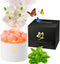 TWEJMZU Scent Diffuser - White Aromatherapy Diffuser for Bedroom Yoga Hotel SPA -