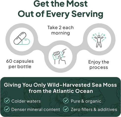 Wild Sea Moss Capsules - 100% Organic Irish Sea Moss with Chlorella, Bladderwrack, Vitamin D for Energy, Lung Health,